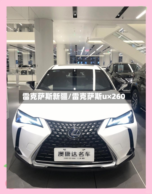 雷克萨斯新疆/雷克萨斯u×260-第1张图片