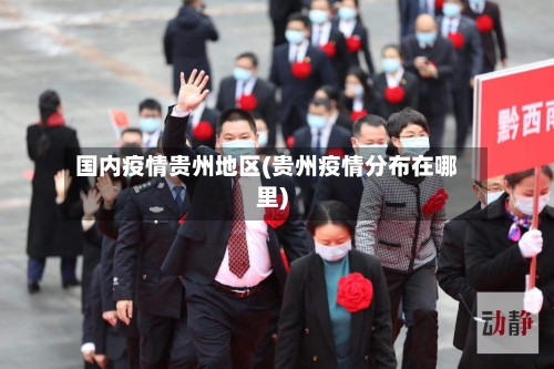 国内疫情贵州地区(贵州疫情分布在哪里)-第1张图片