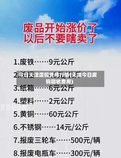 今日天津废铜费用行情(天津今日废铜回收费用)-第1张图片