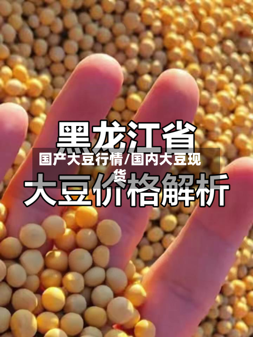 国产大豆行情/国内大豆现货-第2张图片