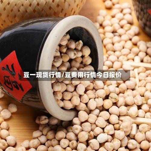 豆一现货行情/豆费用行情今日报价-第1张图片