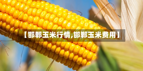 【邯郸玉米行情,邯郸玉米费用】-第1张图片
