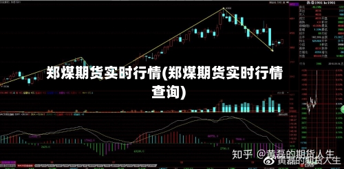 郑煤期货实时行情(郑煤期货实时行情查询)-第1张图片