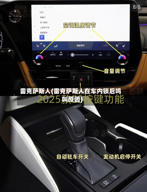 雷克萨斯人(雷克萨斯人在车内锁后鸣叫原因)-第3张图片