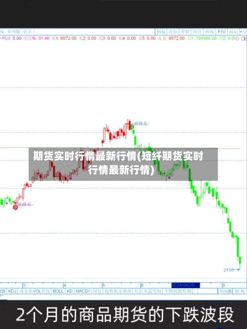 期货实时行情最新行情(短纤期货实时行情最新行情)-第1张图片