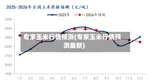 专家玉米行情预测(专家玉米行情预测最新)-第1张图片