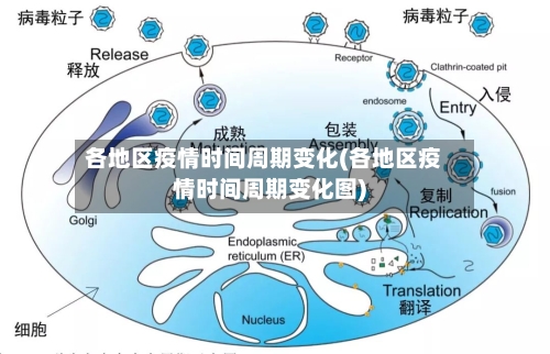 各地区疫情时间周期变化(各地区疫情时间周期变化图)-第3张图片