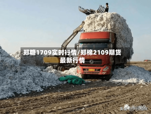 郑糖1709实时行情/郑棉2109期货最新行情-第3张图片