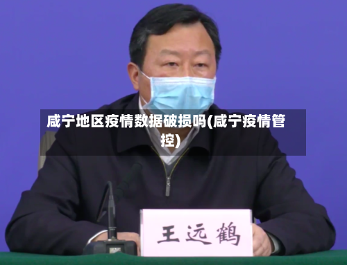 咸宁地区疫情数据破损吗(咸宁疫情管控)-第1张图片