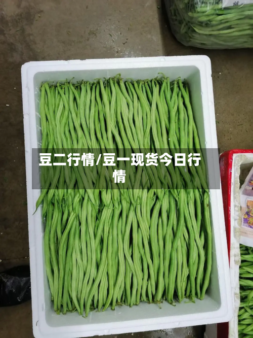 豆二行情/豆一现货今日行情-第2张图片