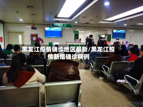 黑龙江疫情确诊地区最新/黑龙江疫情新增确诊病例-第1张图片