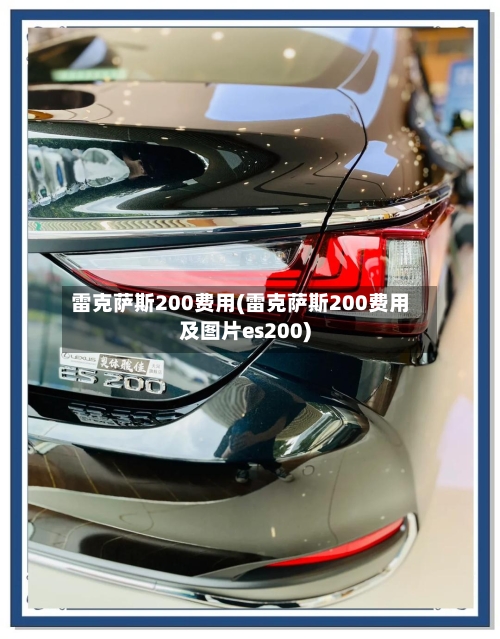 雷克萨斯200费用(雷克萨斯200费用及图片es200)-第2张图片