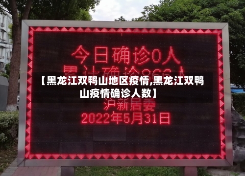 【黑龙江双鸭山地区疫情,黑龙江双鸭山疫情确诊人数】-第2张图片