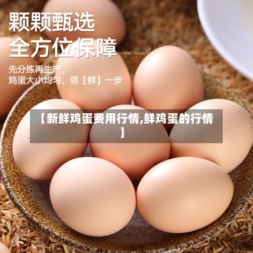 【新鲜鸡蛋费用行情,鲜鸡蛋的行情】-第1张图片