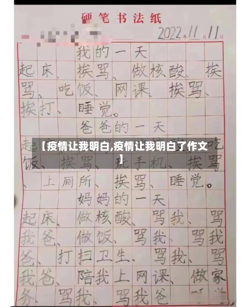 【疫情让我明白,疫情让我明白了作文】-第3张图片