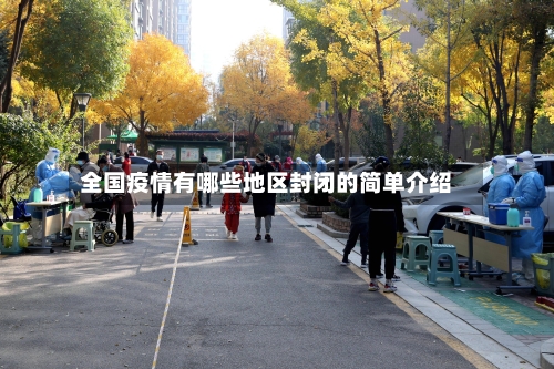 全国疫情有哪些地区封闭的简单介绍-第1张图片