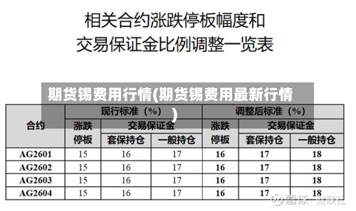 期货锡费用行情(期货锡费用最新行情)-第1张图片