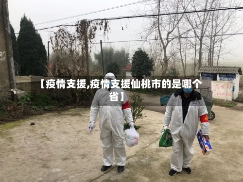 【疫情支援,疫情支援仙桃市的是哪个省】-第1张图片