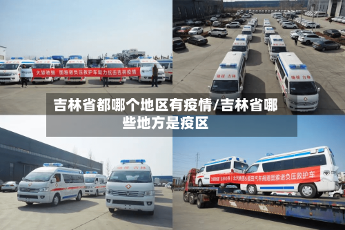 吉林省都哪个地区有疫情/吉林省哪些地方是疫区-第2张图片