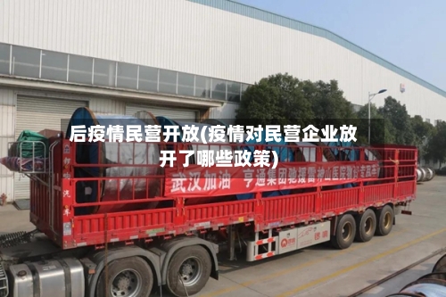 后疫情民营开放(疫情对民营企业放开了哪些政策)-第1张图片