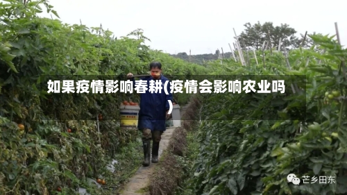 如果疫情影响春耕(疫情会影响农业吗)-第1张图片