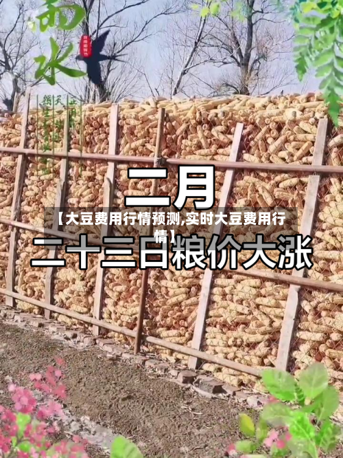 【大豆费用行情预测,实时大豆费用行情】-第2张图片