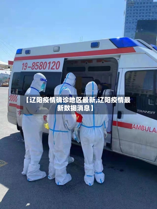 【辽阳疫情确诊地区最新,辽阳疫情最新数据消息】-第1张图片