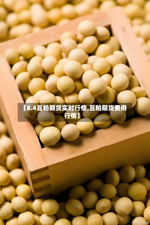 【8.4豆粕期货实时行情,豆粕期货费用行情】-第2张图片