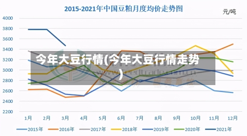 今年大豆行情(今年大豆行情走势)-第1张图片