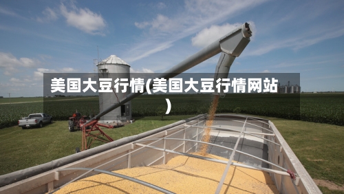 美国大豆行情(美国大豆行情网站)-第1张图片