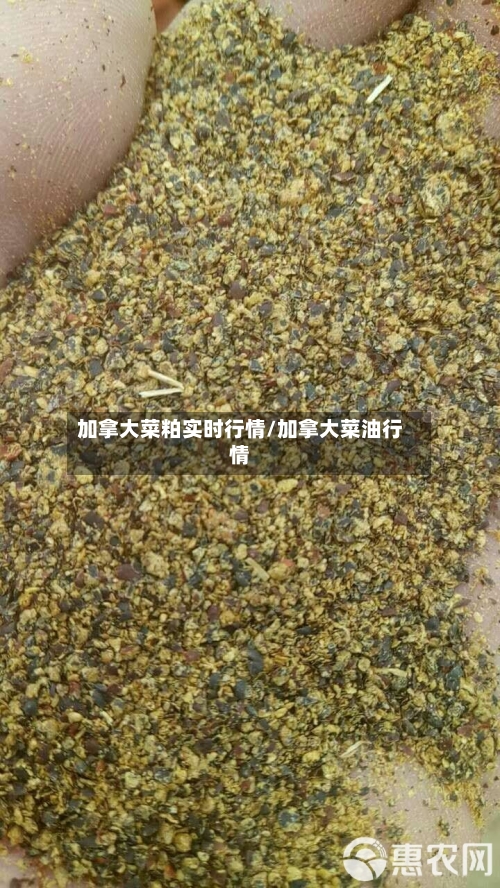 加拿大菜粕实时行情/加拿大菜油行情-第3张图片