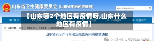 【山东哪2个地区有疫情呀,山东什么地区有疫情】-第1张图片