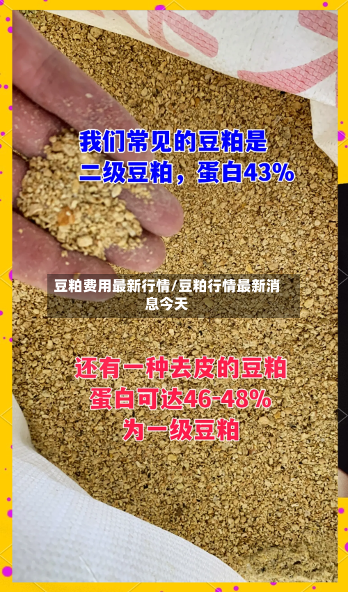 豆粕费用最新行情/豆粕行情最新消息今天-第1张图片