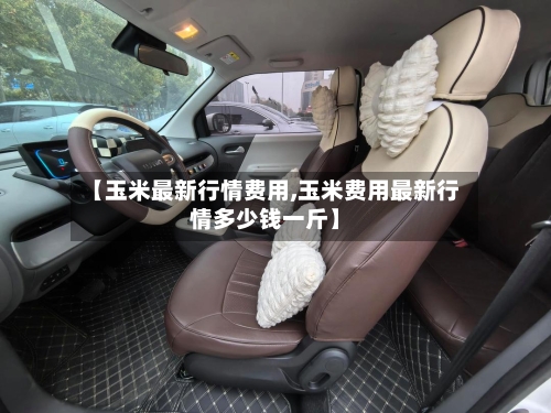 【玉米最新行情费用,玉米费用最新行情多少钱一斤】-第1张图片