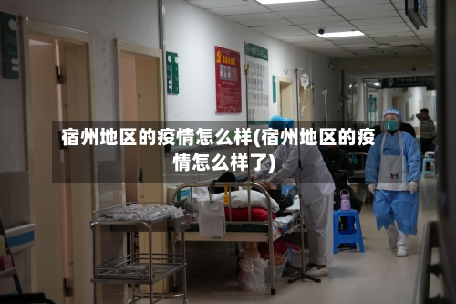宿州地区的疫情怎么样(宿州地区的疫情怎么样了)-第1张图片