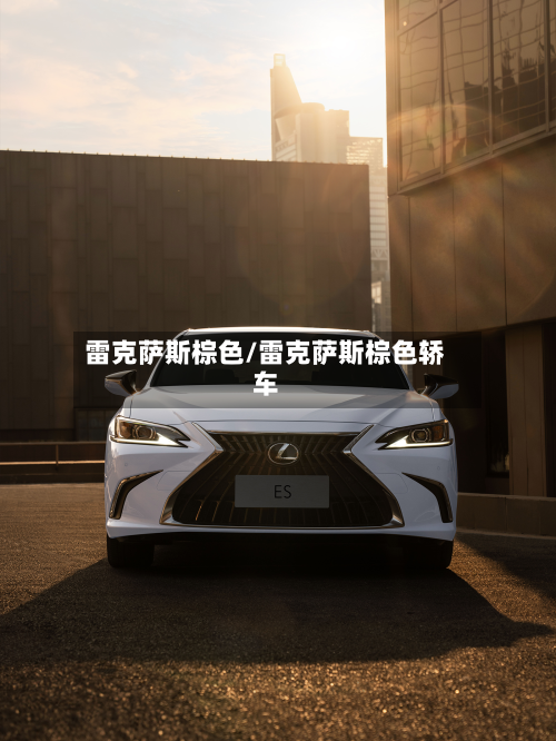 雷克萨斯棕色/雷克萨斯棕色轿车-第3张图片