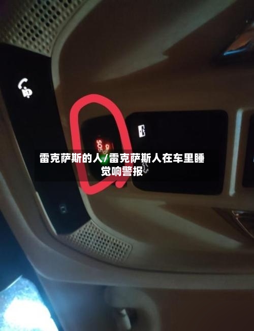雷克萨斯的人/雷克萨斯人在车里睡觉响警报-第1张图片