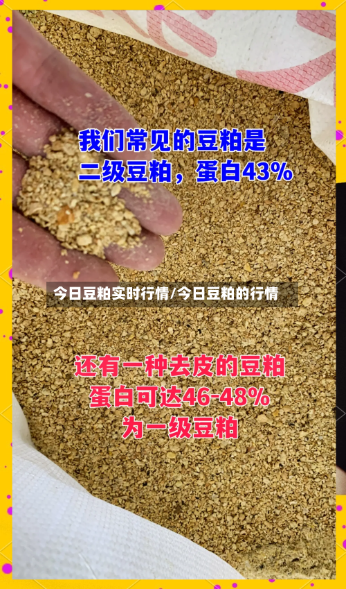 今日豆粕实时行情/今日豆粕的行情-第2张图片