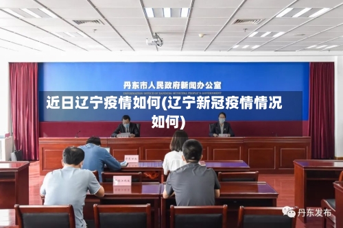近日辽宁疫情如何(辽宁新冠疫情情况如何)-第1张图片