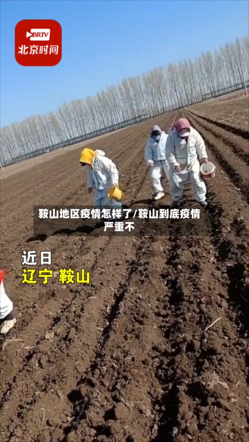 鞍山地区疫情怎样了/鞍山到底疫情严重不-第2张图片