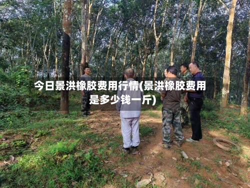 今日景洪橡胶费用行情(景洪橡胶费用是多少钱一斤)-第1张图片