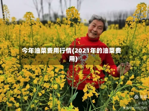今年油菜费用行情(2021年的油菜费用)-第1张图片