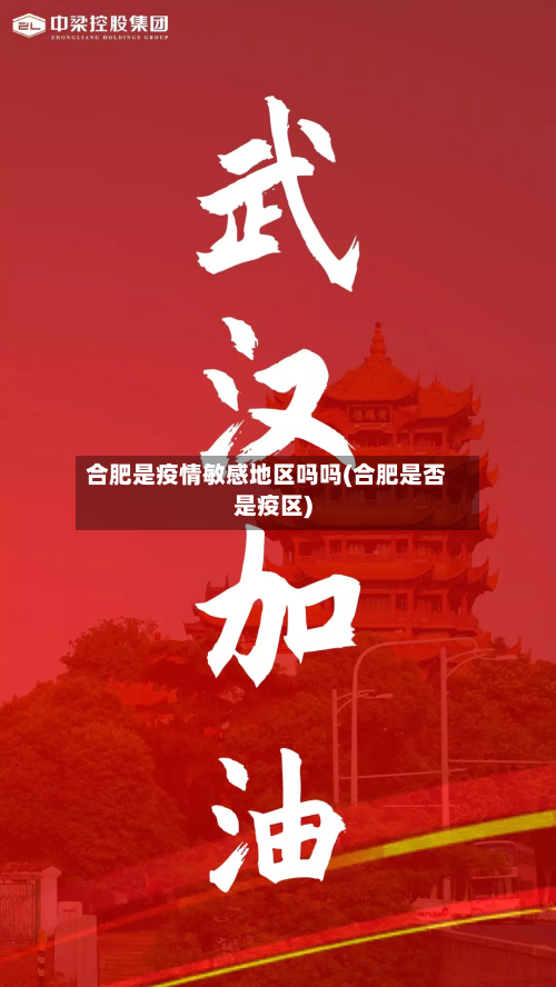 合肥是疫情敏感地区吗吗(合肥是否是疫区)-第2张图片