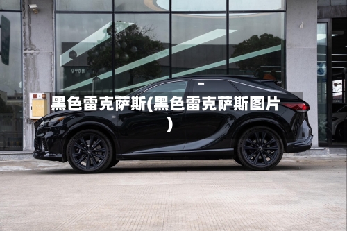 黑色雷克萨斯(黑色雷克萨斯图片)-第3张图片