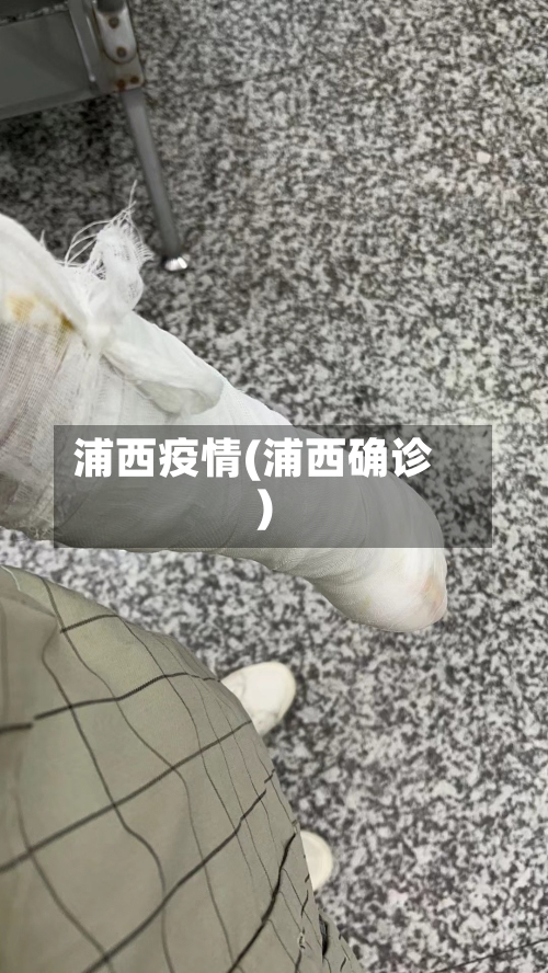 浦西疫情(浦西确诊)-第2张图片