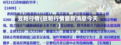 豆粕行情(豆粕行情最新消息今天)-第2张图片