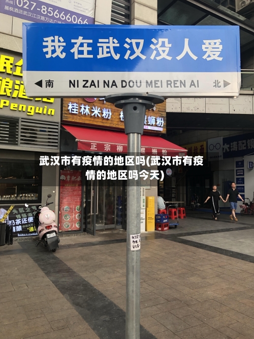武汉市有疫情的地区吗(武汉市有疫情的地区吗今天)-第1张图片