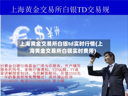 上海黄金交易所白银td实时行情(上海黄金交易所白银实时费用)-第3张图片