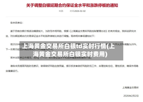上海黄金交易所白银td实时行情(上海黄金交易所白银实时费用)-第2张图片
