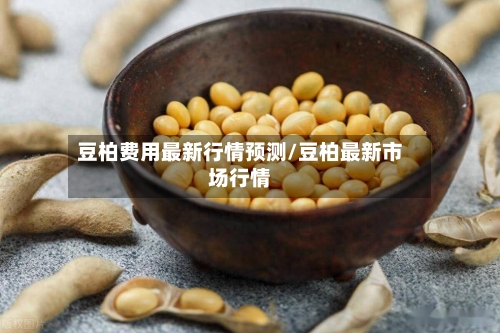 豆柏费用最新行情预测/豆柏最新市场行情-第3张图片